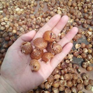 Quả bồ hòn tách hạt 1KG - THAY THẾ CHẤT TẨY RỬA CÔNG NGHIỆP