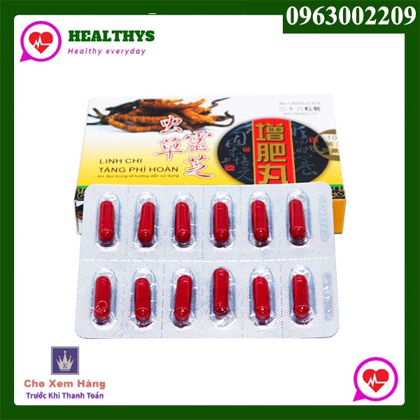 Linh Chi Tăng Phì Hoàn Malaysia 36 Viên/Hộp - Hỗ Trợ Tăng Cân Cho Người Gầy