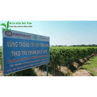 1kg Dây thìa canh