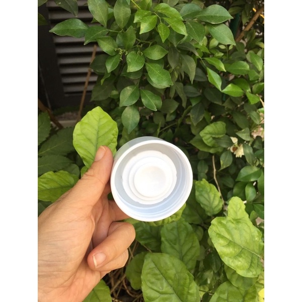 Bình giữ nhiệt Deluca 350ml