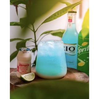 Rio nước hoa quả 6 màu