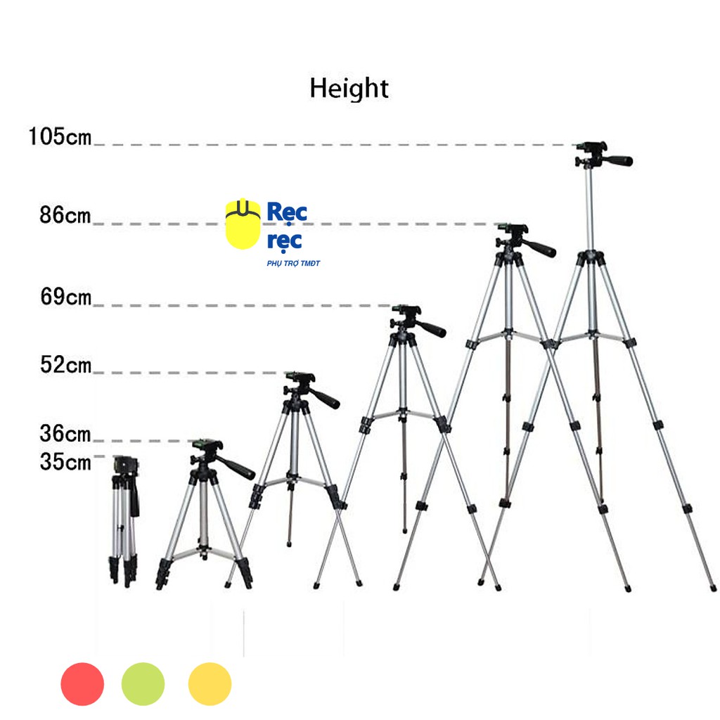 Chân máy ảnh Tripod 3110 tặng Giá kẹp điện thoại và Túi đựng