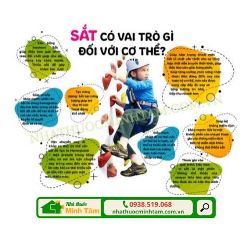 Bổ sung Sắt GLOBIFER PLUS  dành cho người thiếu máu, thiếu sắt, phụ nữ mang thai