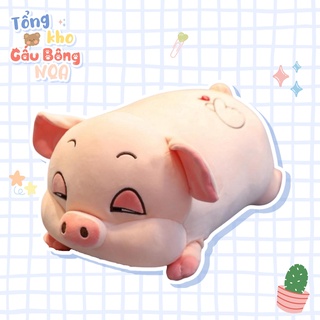 Gấu bông heo nhỏ mắt lim dim hai màu hồng xám đáng yêu Tổng Kho Gấu Bông NQA