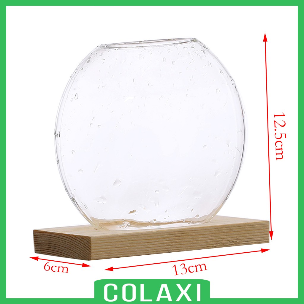 Chậu Cây Thủy Canh Trong Suốt Kèm Giá Đỡ Bằng Gỗ Để Bàn Trang Trí