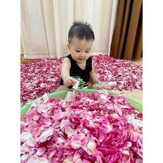 Nước hoa hồng ( combo 3 lọ)