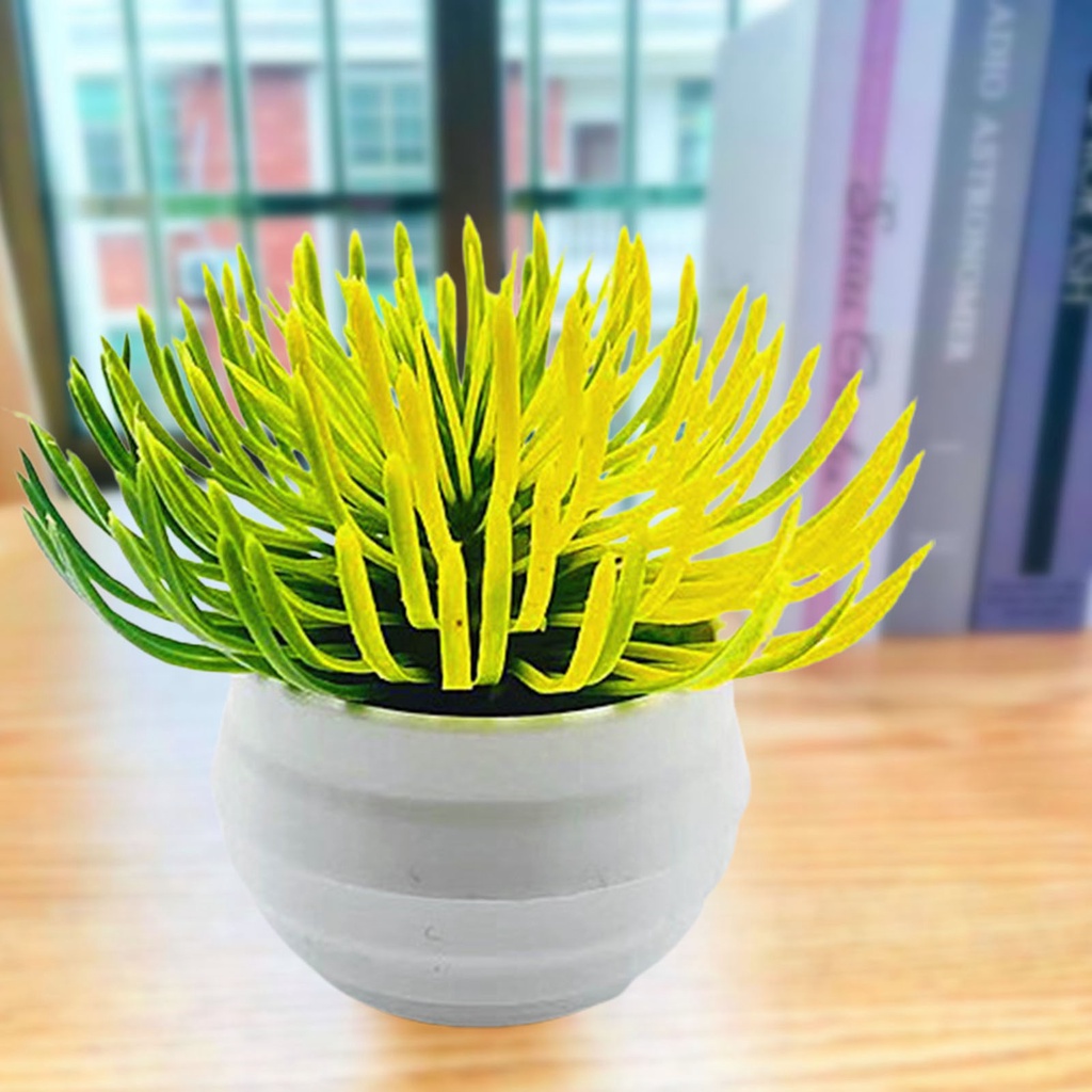 Chậu Cây Bonsai Nhân Tạo Bằng Nhựa Sống Động Để Bàn Trang Trí