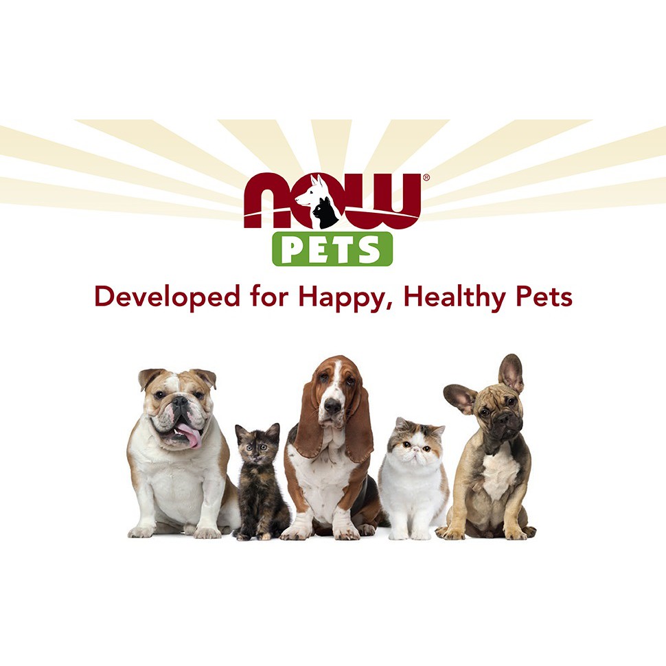 Thực phẩm hỗ trợ giảm cân, kiểm soát cân nặng dành cho chó Weight Management Supplement Now Foods Dog NASC Certified 90v