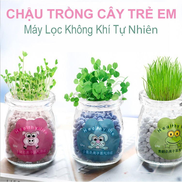 Chậu trồng cây mini bóng Cacbon cỏ búp bê văn phòng, Cây cảnh mini để bàn có kèm đất và hạt giống