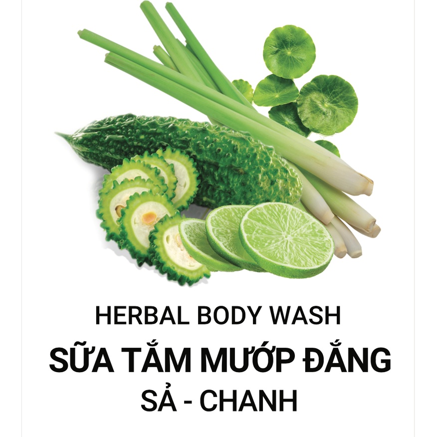 Sữa tắm mướp đắng sả chanh AnhAnhHome - Sạch mụn lưng, kháng khuẩn, dưỡng ẩm, sáng da, thư giãn