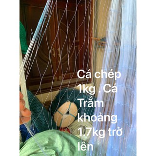 LƯỚI CƯỚC ĐÁNH BẮT CÁ KHỦNG MẮT 10CM , MẮT 12CM