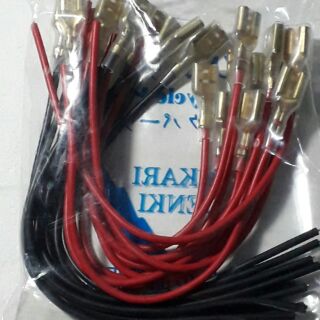 Dây ghim kèn -  2 sợi
