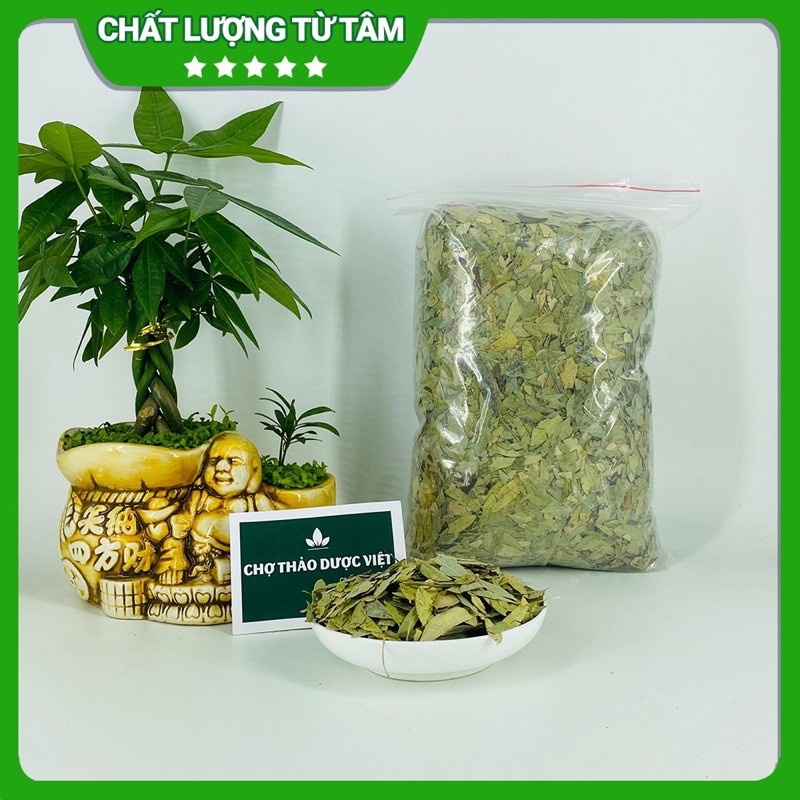 Phan tả diệp 1 kg giảm cân nhuận tràng