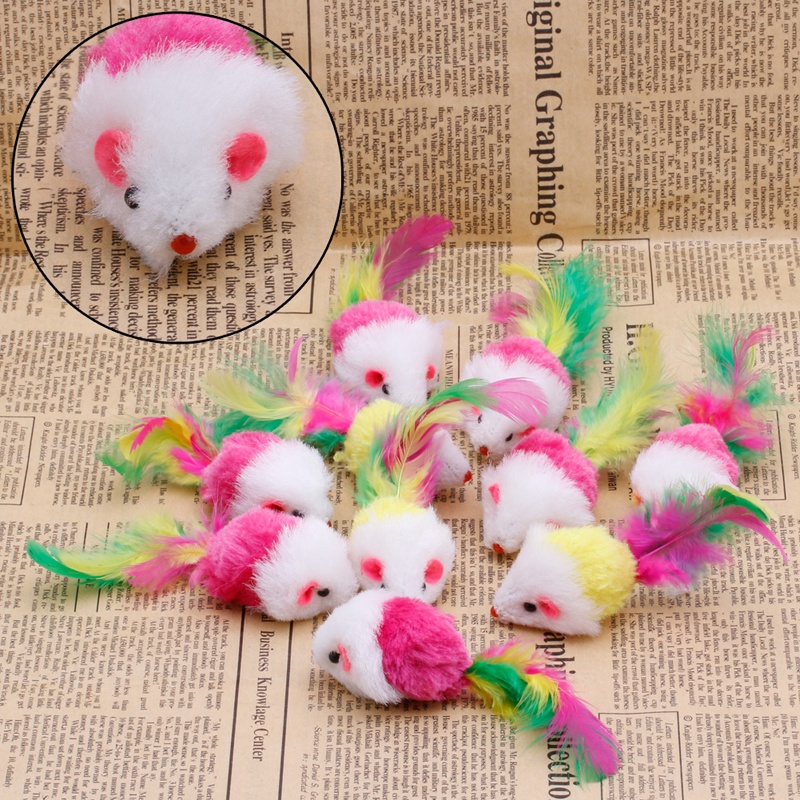 Set 10 chuột đồ chơi có đuôi gắn lông vũ thú vị cho mèo cưng