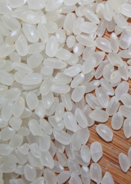 [Mã GROSALE55 giảm 8% đơn 500K] 5kg gạo( séng cù hạt tròn Loại Vip )
