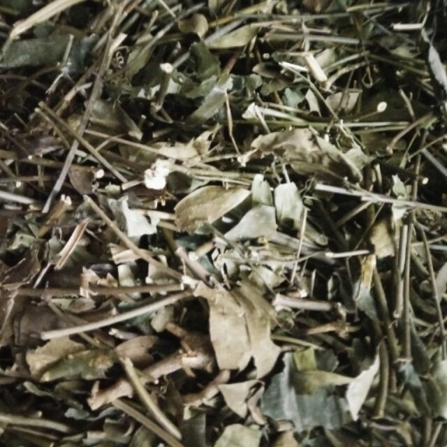 Chè vằng sẽ