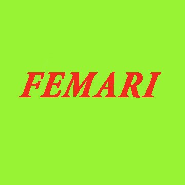FEMARI Phụ Kiện Ô TÔ Cao Cấp.
