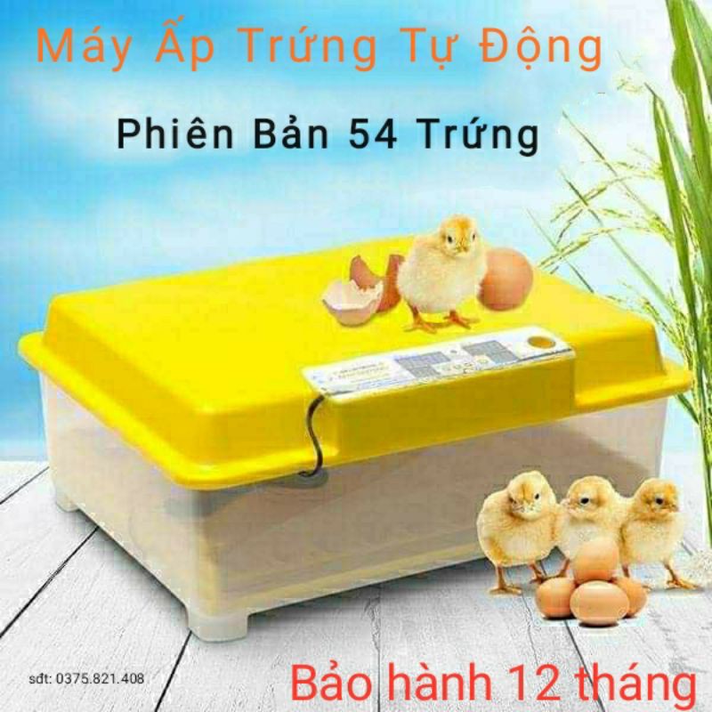 Máy Ấp Trứng Ánh Dương  54 Trứng  Lắp đặt sẵn, Máy ấp mini, tặng kèm bình nước