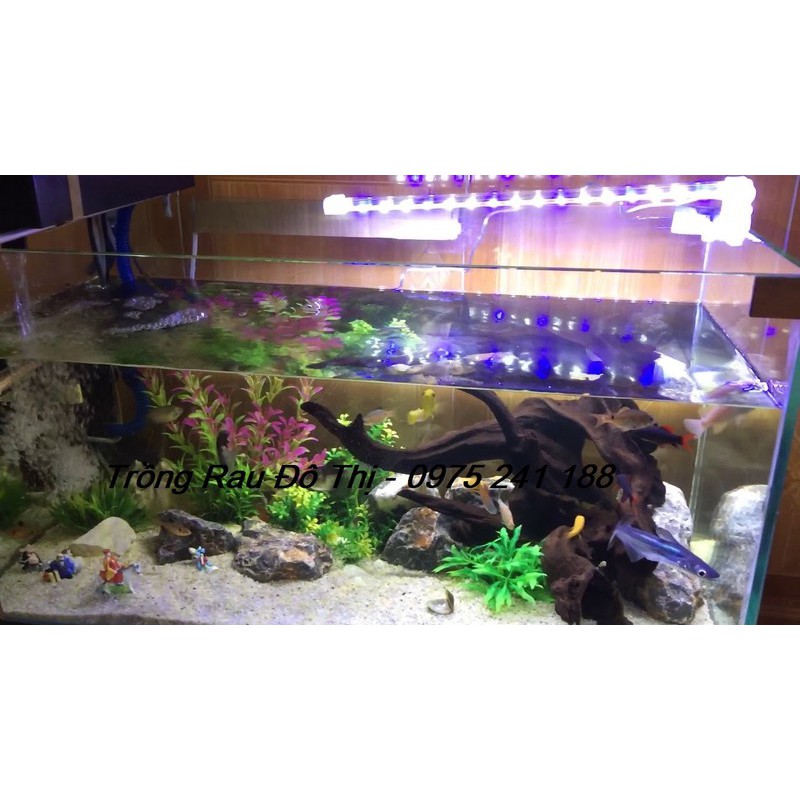 Đèn led bể cá dạng kẹp D10 cho bể dài 15-25cm, 4W, dài 14.5cm