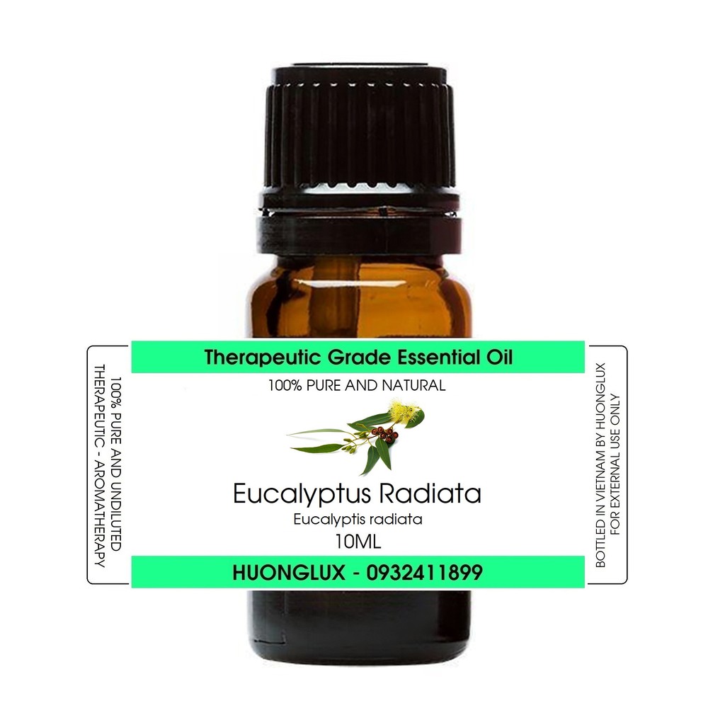 Tinh dầu Khuynh diệp Eucalyptus Radiata Essential Oil (Bạch đàn Radiata)