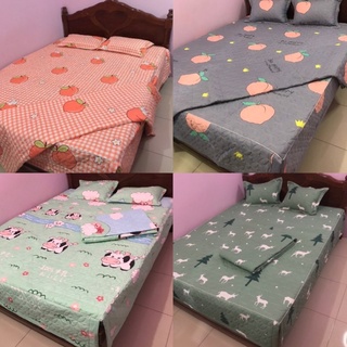 Nguyên set chăn ga gối cotton poly trần bông