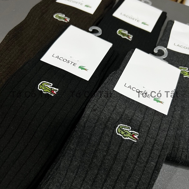 CÓ SẴN - TẤT LACOSTE CÔNG SỞ CHÍNH HÃNG CAO CẤP