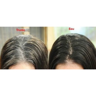 Thảo dược nhuộm đen tóc Shitinsof
