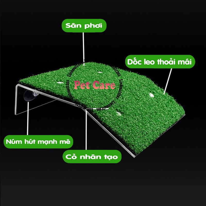 Bệ phơi nắng rùa cỏ nhân tạo