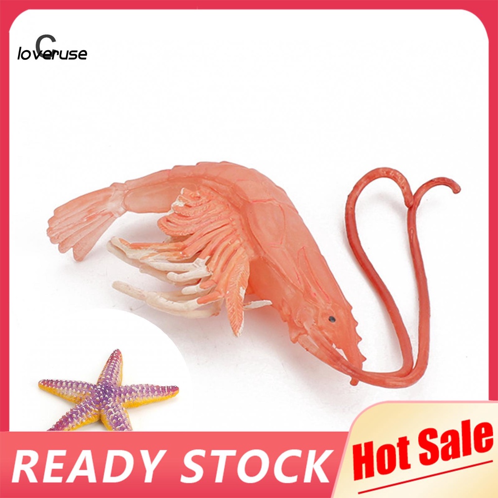 Đồ trang trí Sao Biển / Mực / Tôm Giả Trang Trí Sinh Động