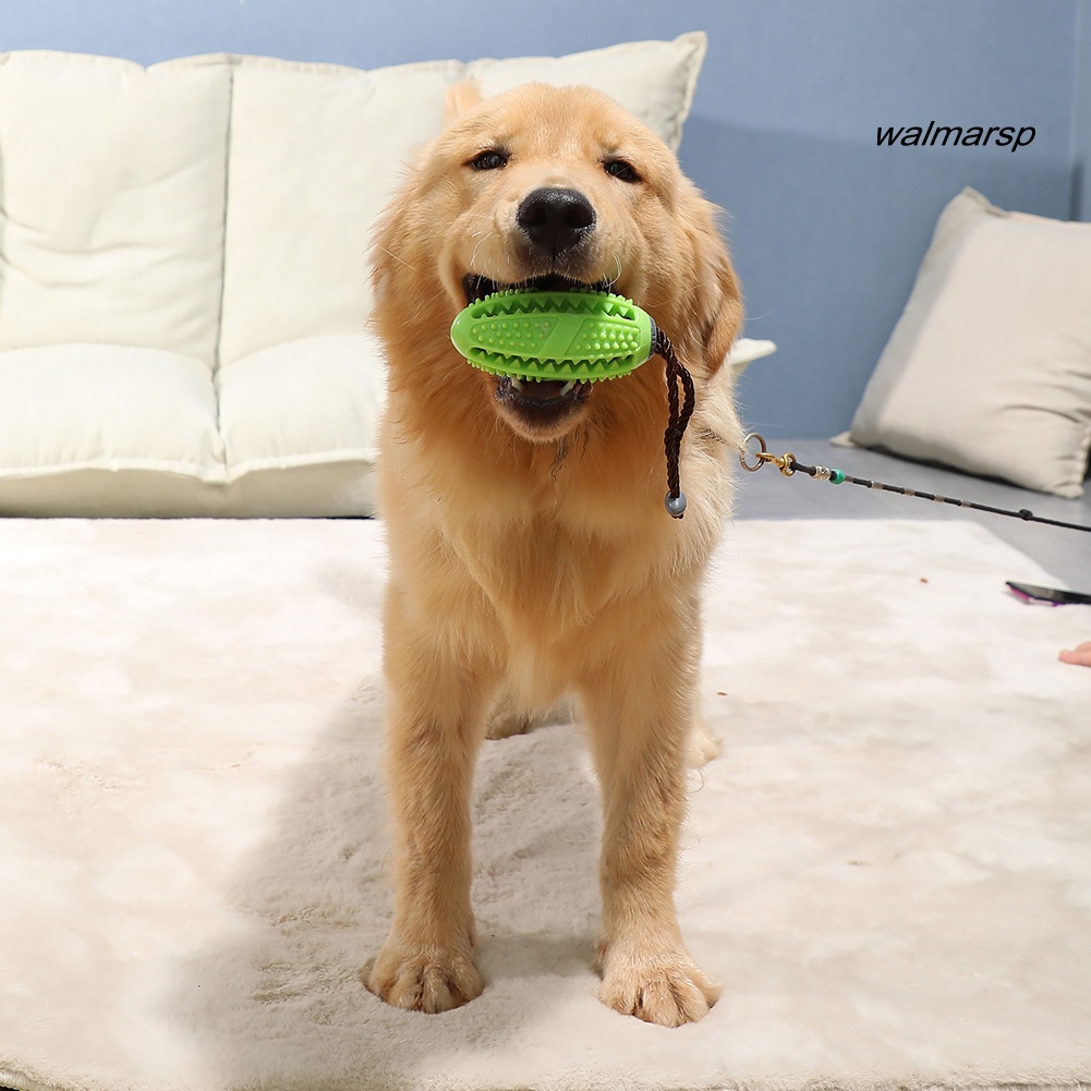 Đồ Chơi Nhai Gặm Co Giãn Hình Quả Bóng Bầu Dục Cho Thú Cưng