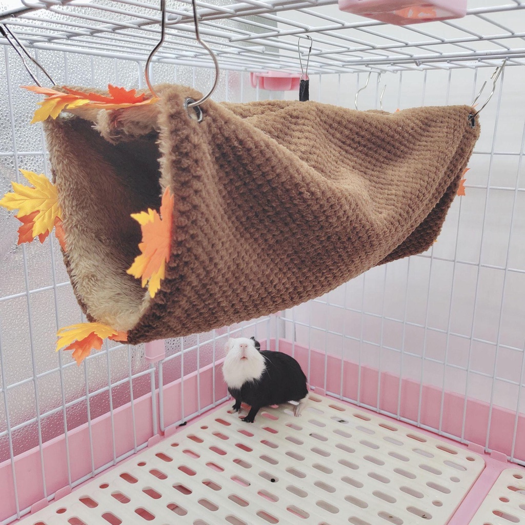 Võng Treo Thời Trang Cho Thú Cưng