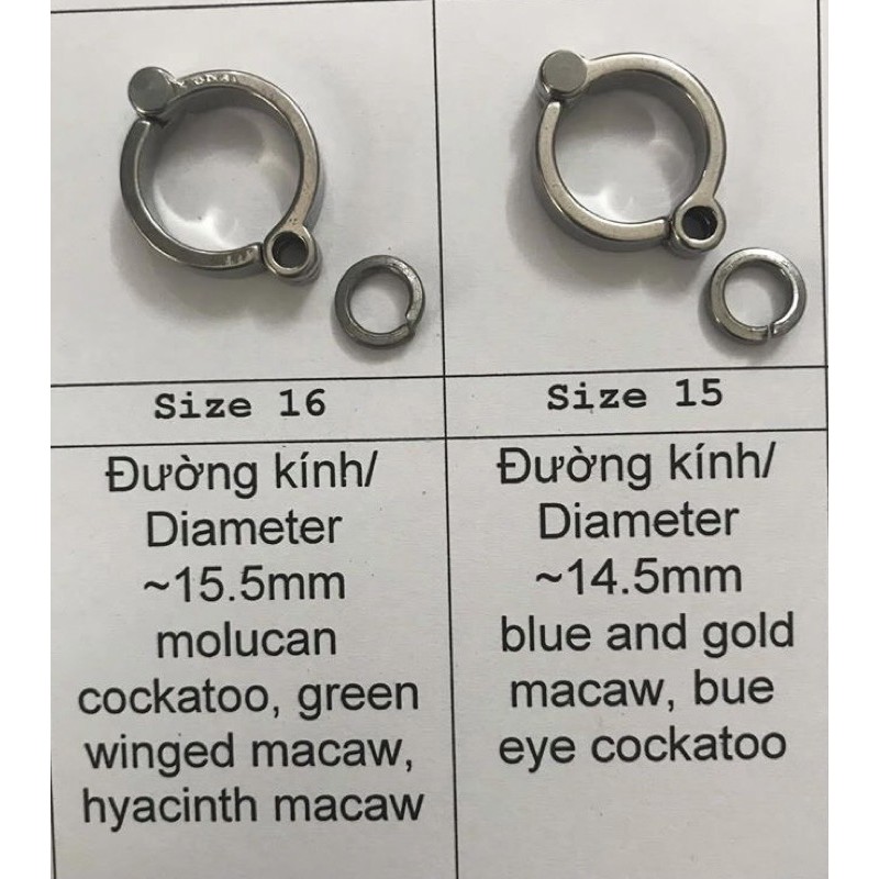 Xích chân và ổ khoá chuyên dụng cho vẹt Macaw và cockatoo