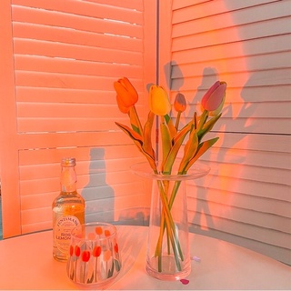 Đèn Hoàng hôn - Đèn Chiếu Tiktok Sunset