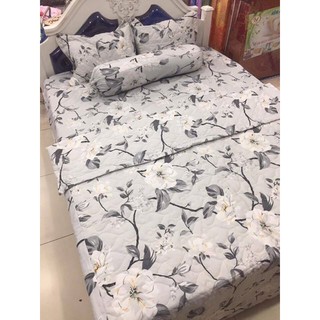 Ga trải giường 1m6x2m,cotton poly hàn mềm,chọn mẫu,hoa lá bạc
