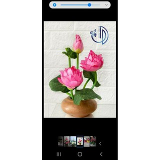 Hoa sen giả bé 2 bông 1 nụ(Giá 1 cành)