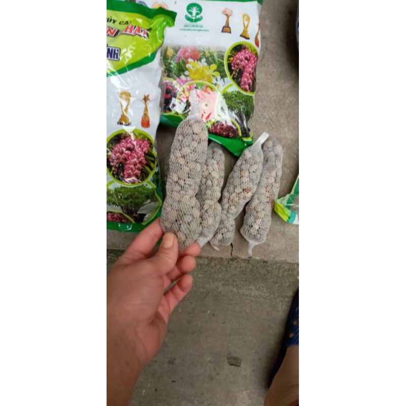 1 đoạn phân dài 15cm giá sỉ