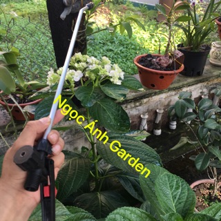 Cần phun - tay bóp bình xịt Bình Minh