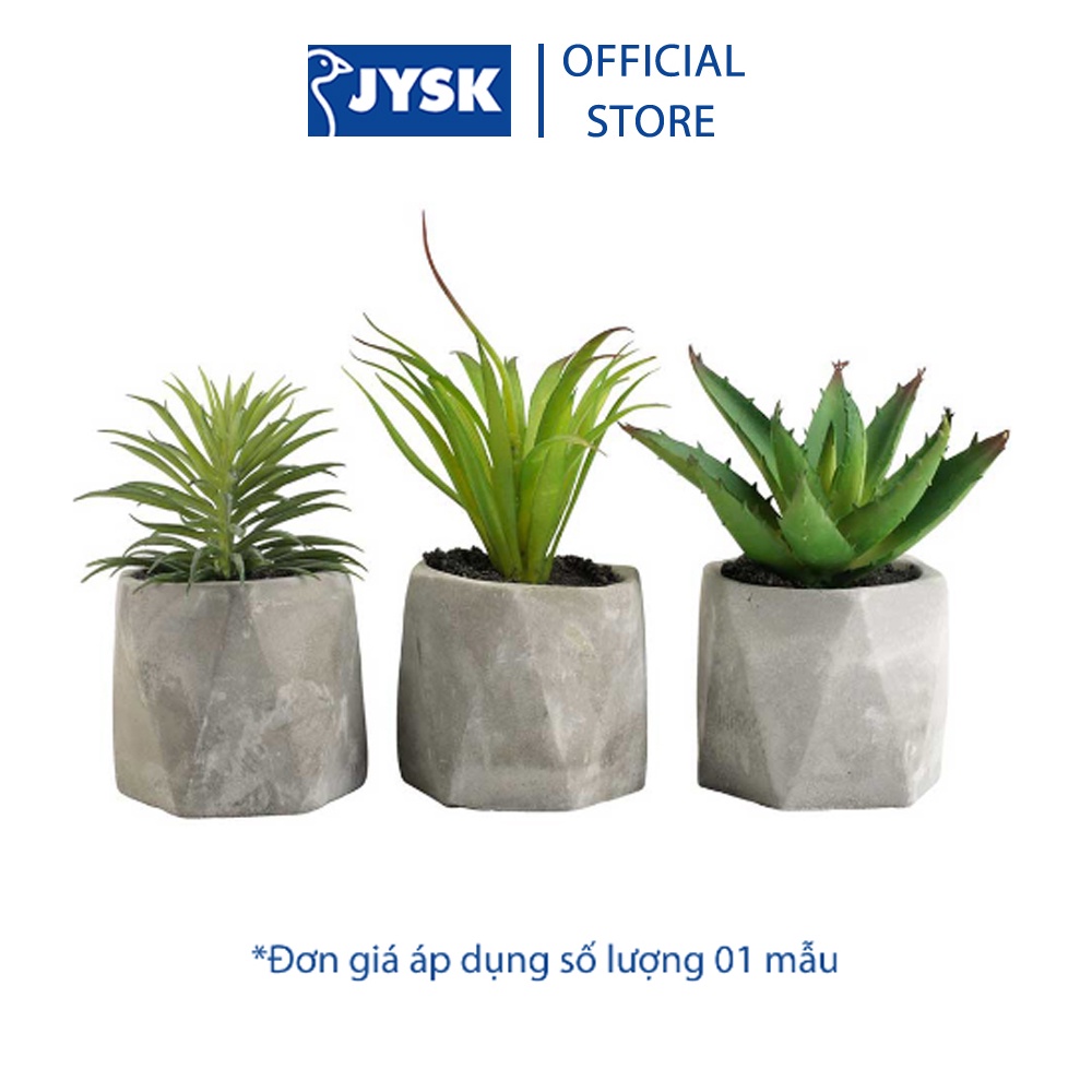 Cây trang trí | JYSK Torgeir | nhựa/ximang nhiều mẫu | DK8x19cm