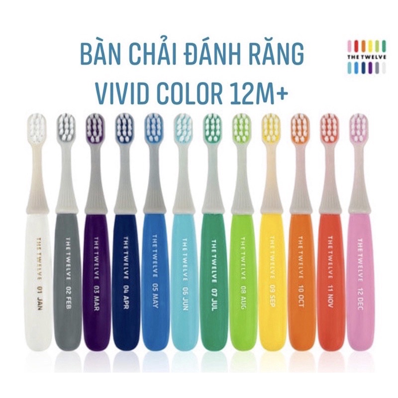 Bàn chải đánh răng THE TWELVE Hàn Quốc cho bé 12-36m