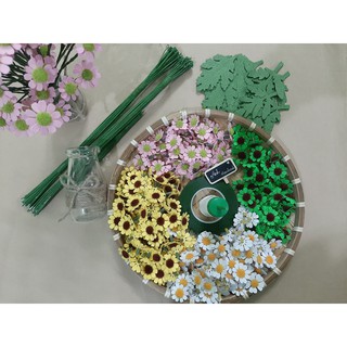 Sỉ cánh cúc họa mi các size, cúc tana, cúc châu phi