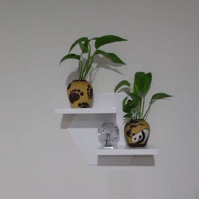 ✅ Kệ trang trí treo tường lục giác đẹp lạ KTT-3654