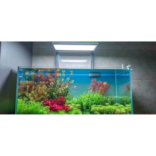 ĐÈN LED THỦY SINH WEEK ARK RGB
