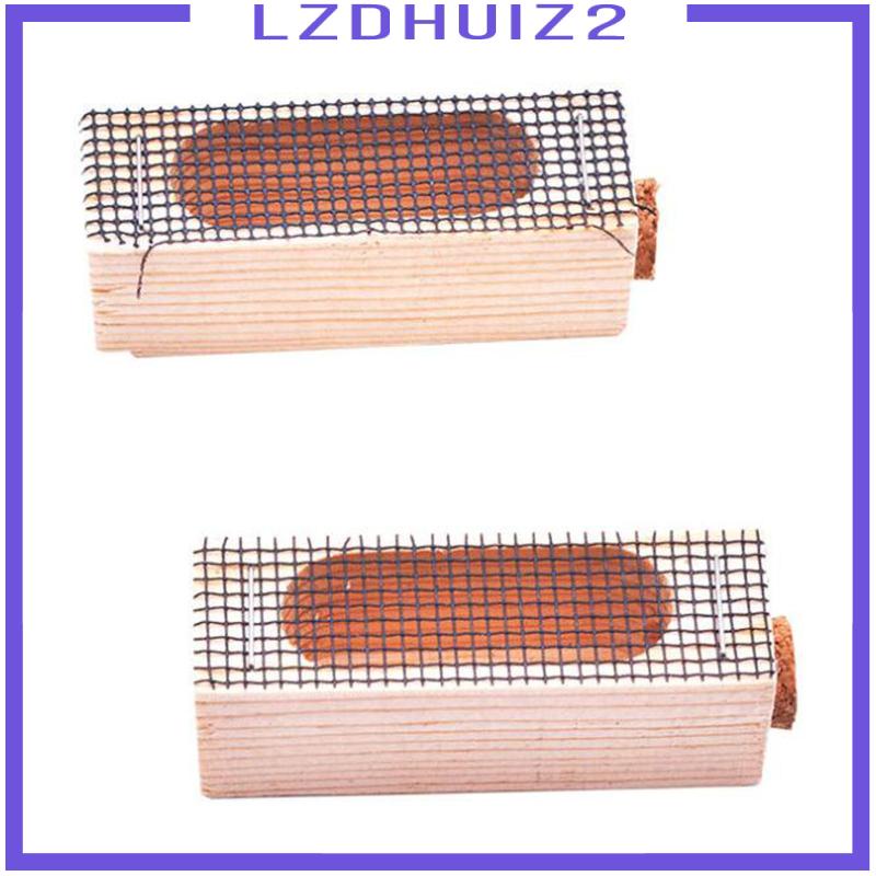 Set 5 Lồng Bắt Ong Chúa Chuyên Dụng Cho Nuôi Ong