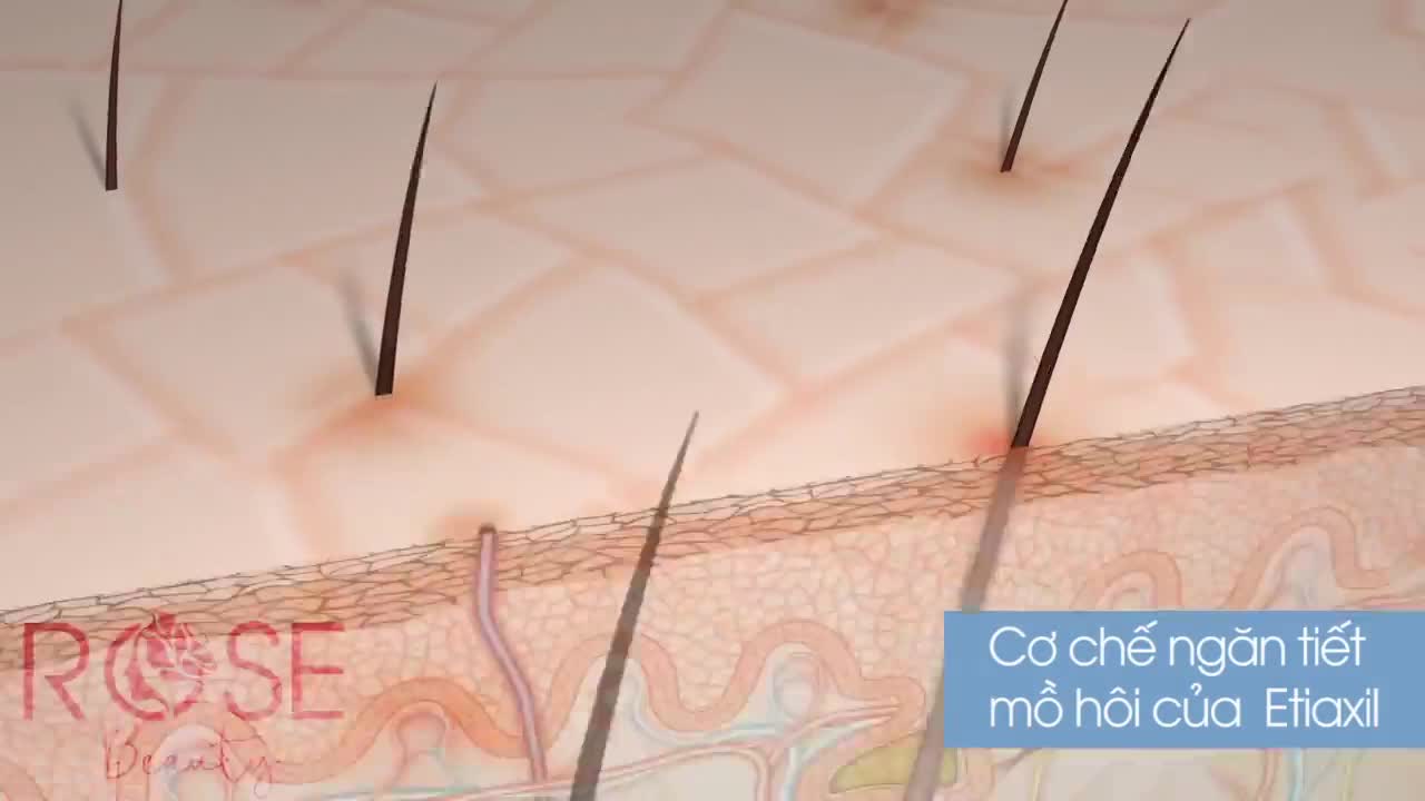 Lăn khử mùi Etiaxil ngăn mồ hôi cho da nhạy cảm 15ml - Rose Beauty | BigBuy360 - bigbuy360.vn