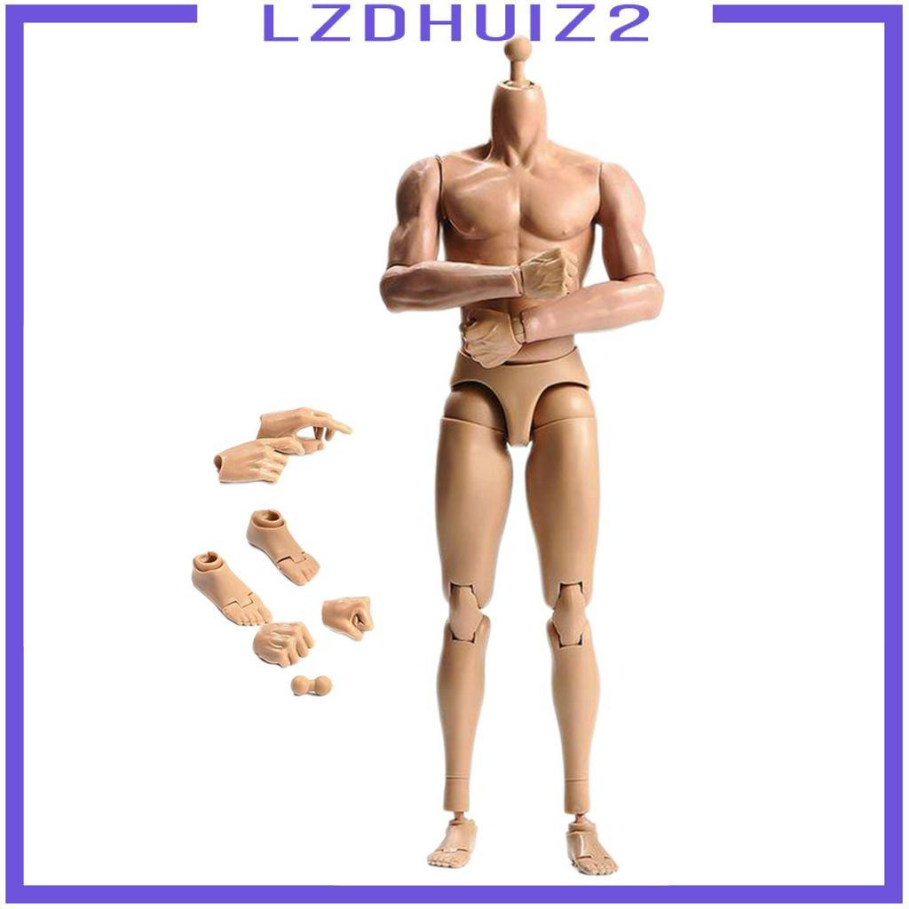 Mô Hình Cơ Thể Nam Tỉ Lệ 1 / 6