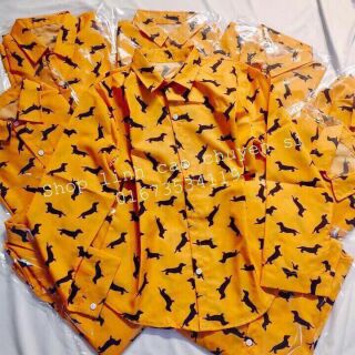Combo 15 sơ mi họa tiết chó