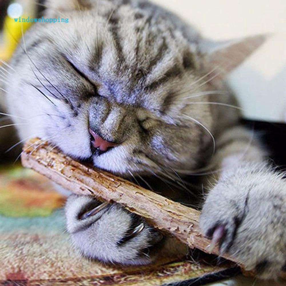 Que gặm chuyên dụng làm sạch răng cho mèo cưng