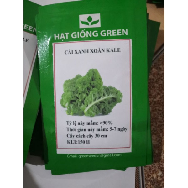 Gói 150 hạt giống cải xoăn kale lên 98%, hạt chuẩn 100%