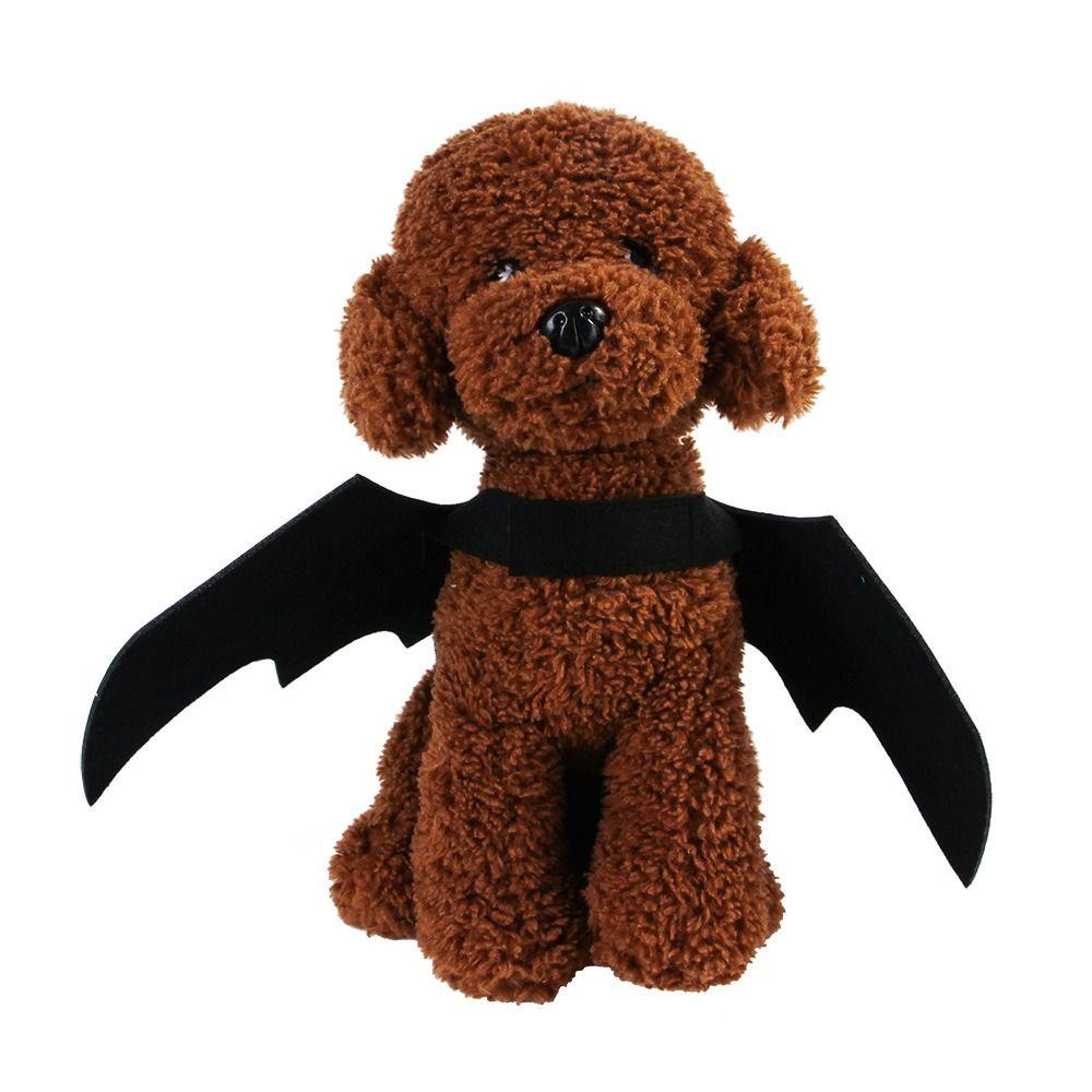 Trang PhụC Halloween Cho Thú Cưng