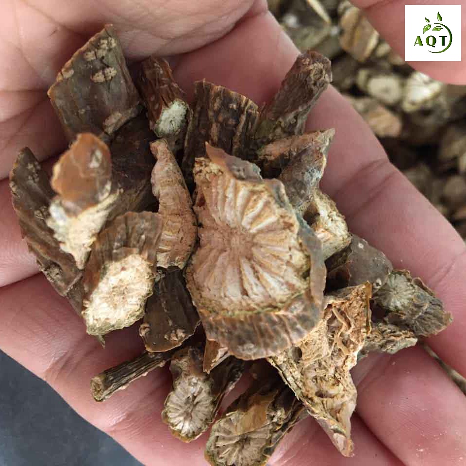 Cây (Dây) Thần Thông 1kg Khô Sạch, Hạ Đường Huyết, Giảm Đau Xương Khớp, Dây Thần Thông Hạ Sốt Nhanh
